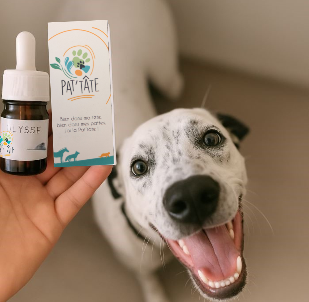 Fleurs de Bach Ulysse