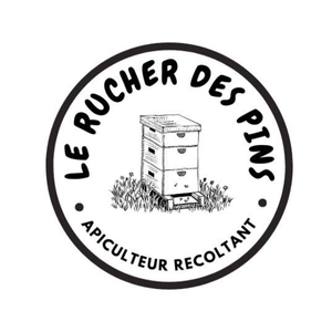 Template Photo Site Web